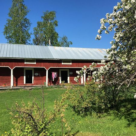 Bed and Breakfast Ollilan Tupa Joensuun Laehellae Ylämylly Exterior foto